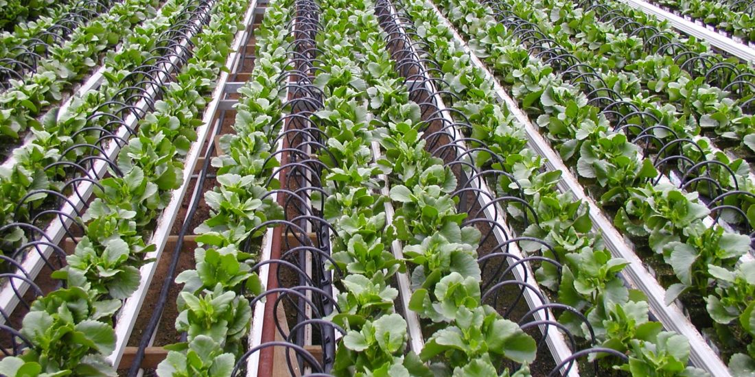 Agricultura de precisión | Tecnologías asociadas al análisis de cultivos