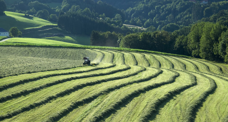 Agricultura de precisión | Tecnologías asociadas al análisis de cultivos