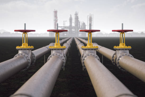Petróleo y gas natural