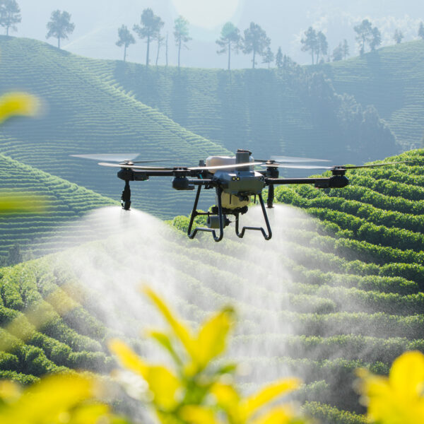 Reducción del impacto ambiental