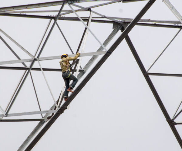 Reducción de Costos