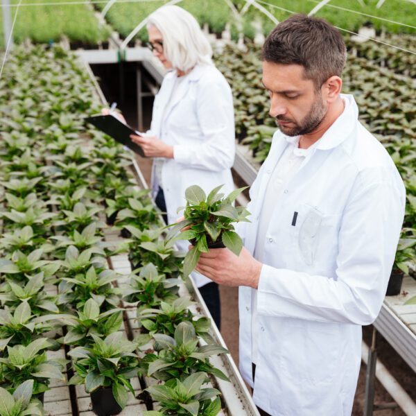 Disminución de costos operativos y aumento de la rentabilidad