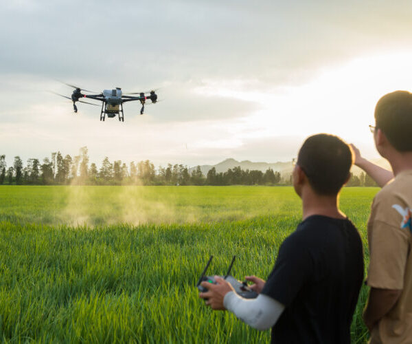 Agricultura de precisión y gestión ambiental