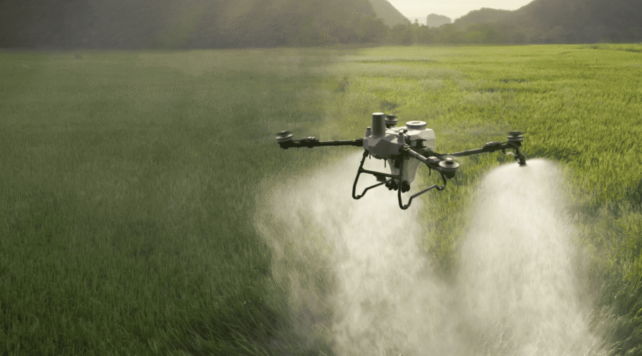 Pulverización de precisión con dron agrícola DJI sobre cultivo