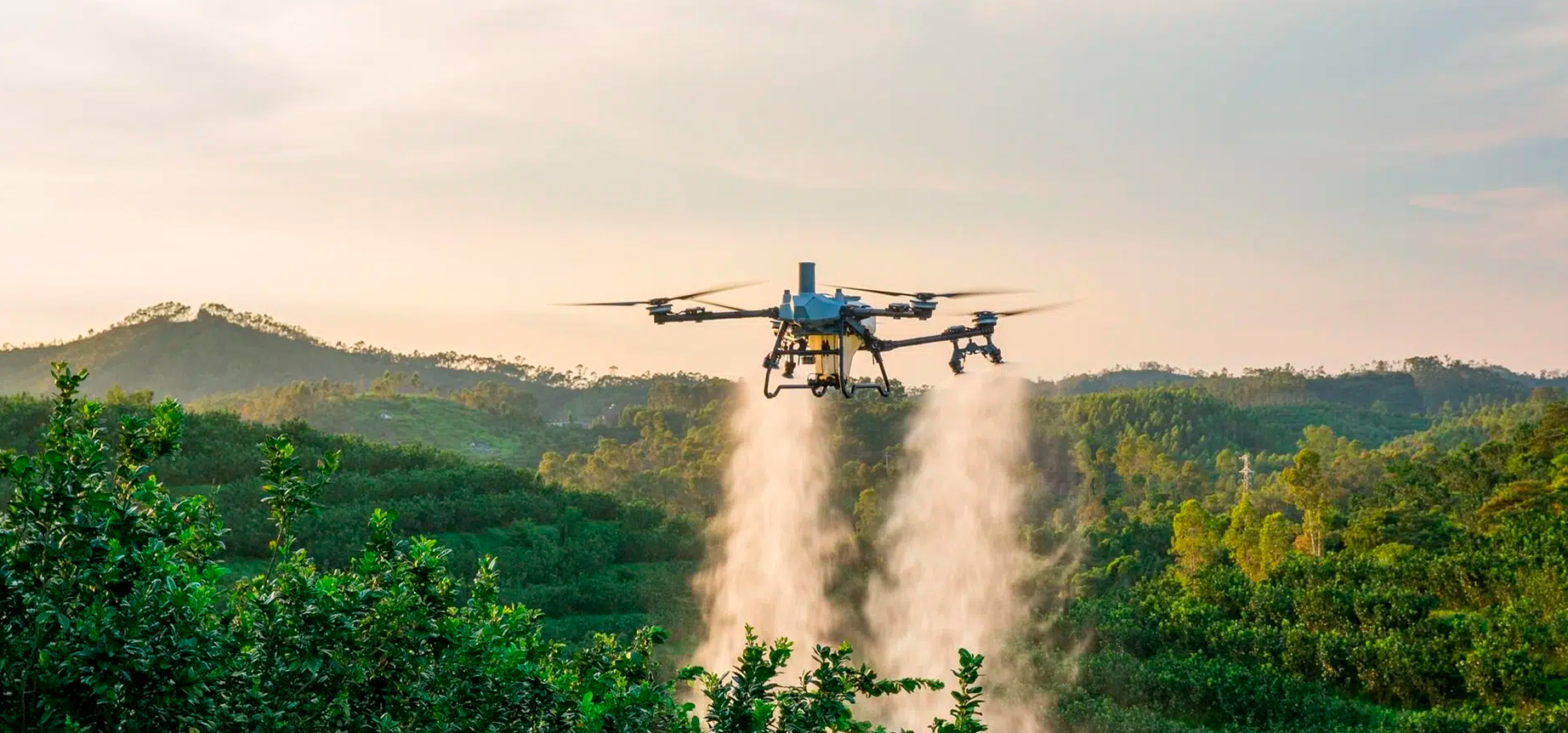 Dron agrícola DJI Agras T55 para pulverización y esparcimiento